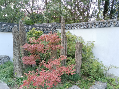 上海植物園