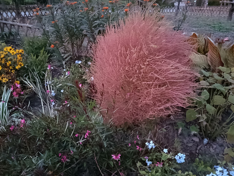 上海植物園