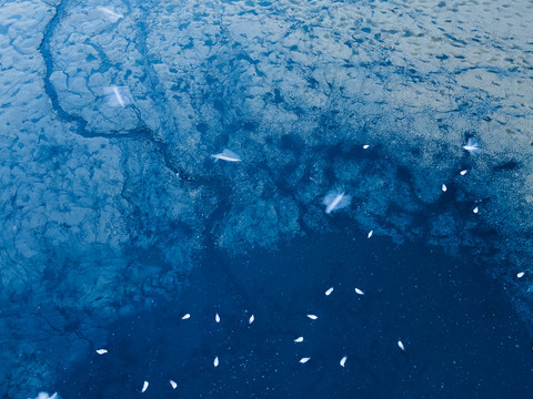 海边滩涂