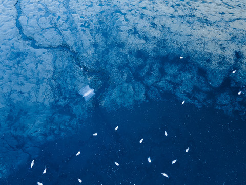 海边滩涂