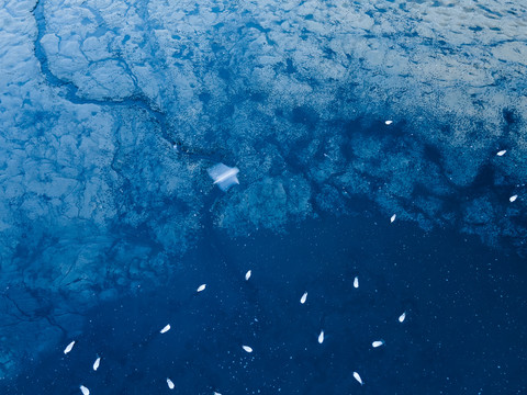 海边滩涂