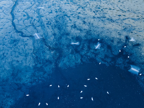 海边滩涂