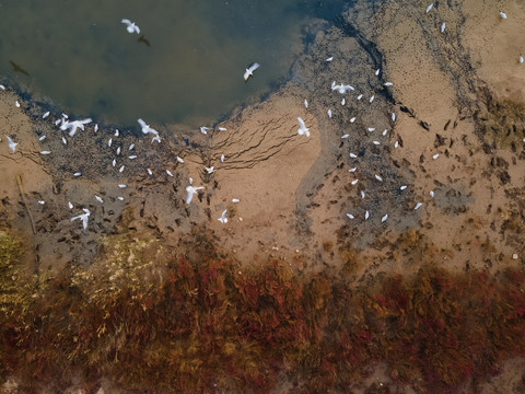 海边滩涂