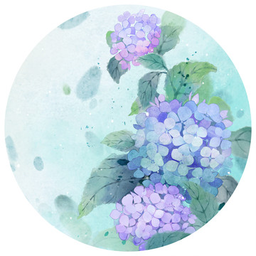繡球花