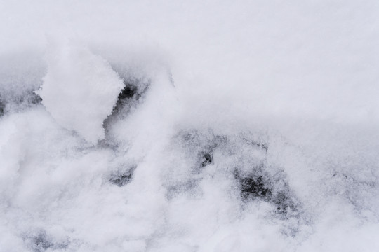 中国北方严寒的冬季降下的白雪