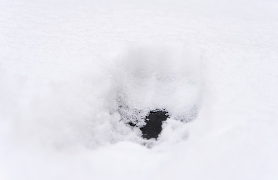 大雪之后地面上厚厚的积雪