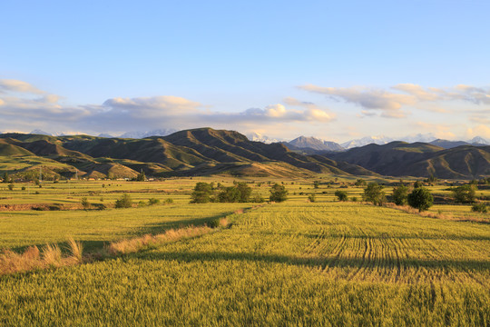 新疆东天山风光