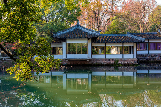 中国浙江杭州西湖景区曲院风荷