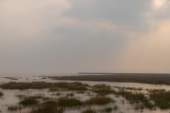 海边湿地