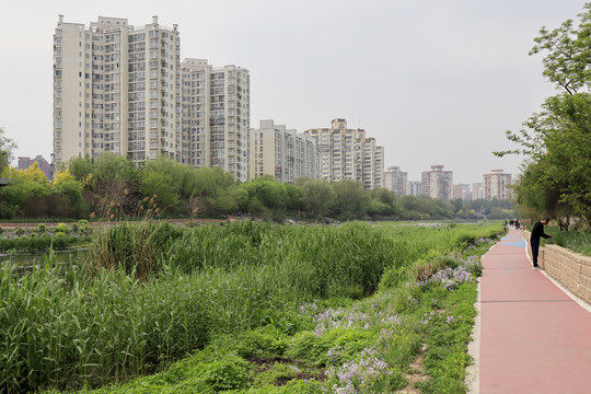 北京城市风光北京凉水河