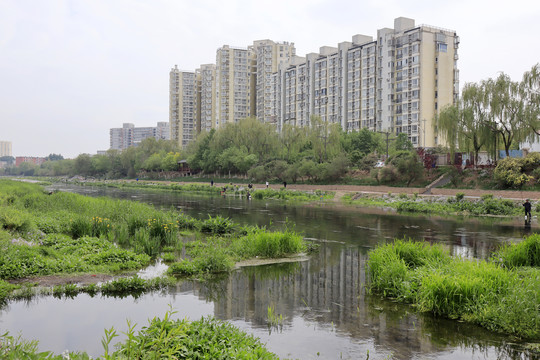 北京城市风光北京凉水河