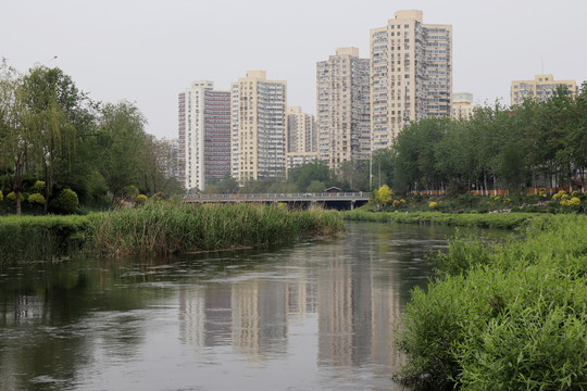 北京城市风光北京凉水河