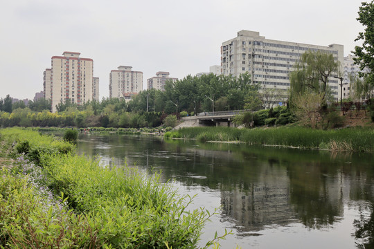 北京城市风光北京凉水河