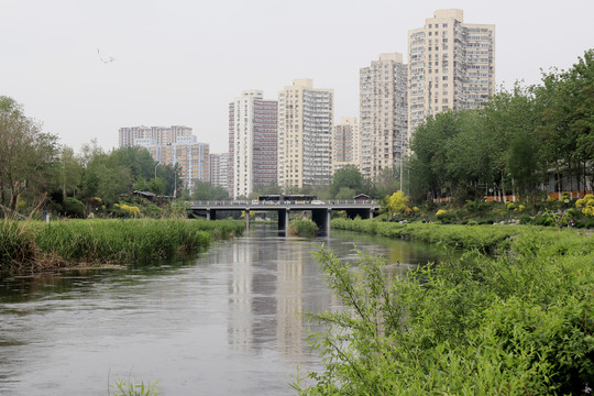 北京城市风光北京凉水河