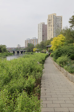 北京城市风光北京凉水河