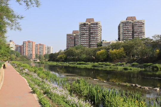 北京城市风光北京凉水河