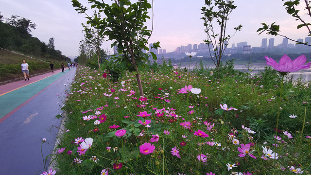 江边鲜花步道