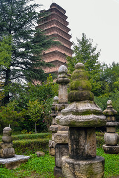 香积寺塔林