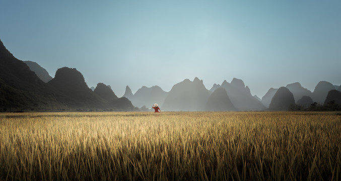 广西桂林山水下的稻田