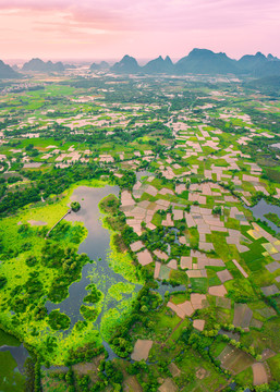 桂林会仙湿地