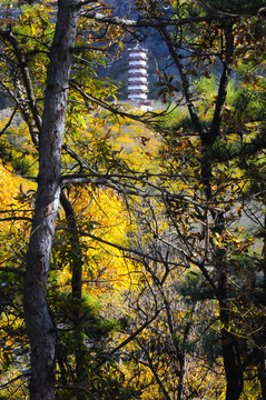 莱州大基山风光