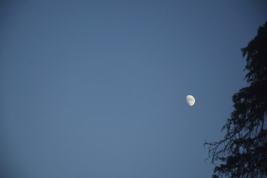 傍晚月亮