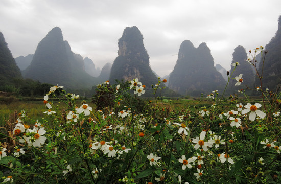 奇峰镇风光