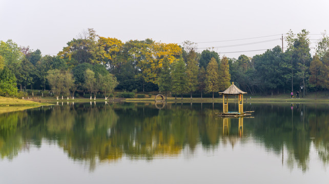 菊花展地