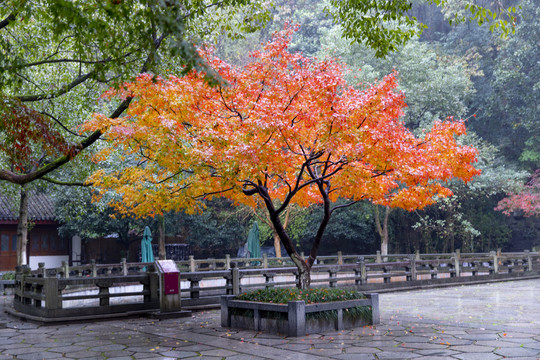 杭州万松书院