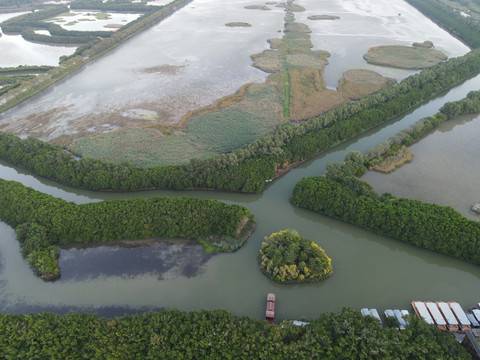 广州南沙区湿地公园