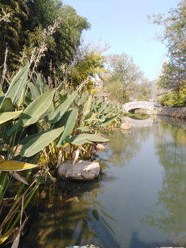 小桥流水