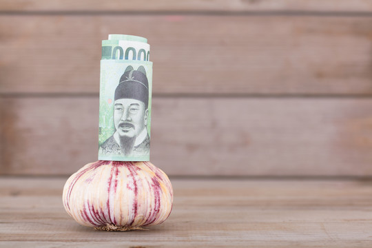 面值一万元的韩元纸币和一头蒜