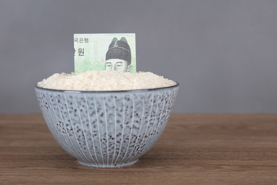 一碗大米和韩元钞票