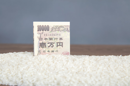 大米和日元钞票