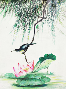 花鳥手繪
