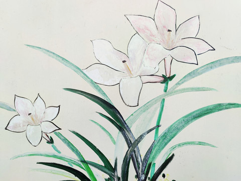 蘭花手繪