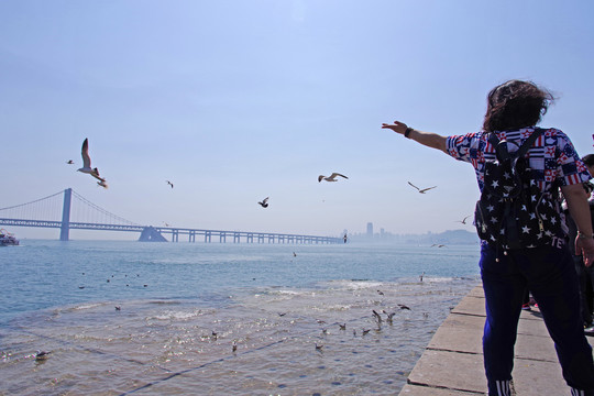 大连星海湾跨海大桥