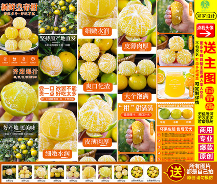 皇帝柑詳情頁主圖