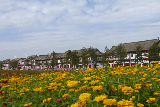 长春北湖花海