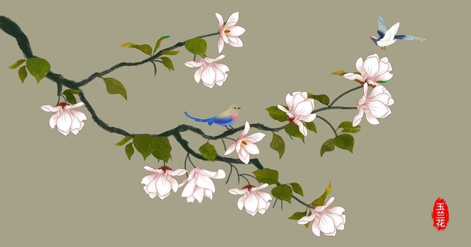 玉蘭花