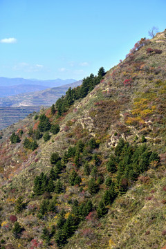 岷山秋色