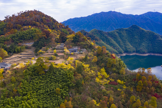 航拍秋色四明山茅镬古树村