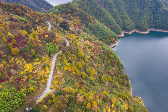 航拍四明山茅镬古树村