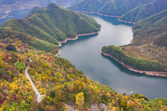 航拍四明山茅镬古树村