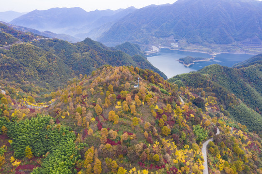 航拍四明山茅镬古树村