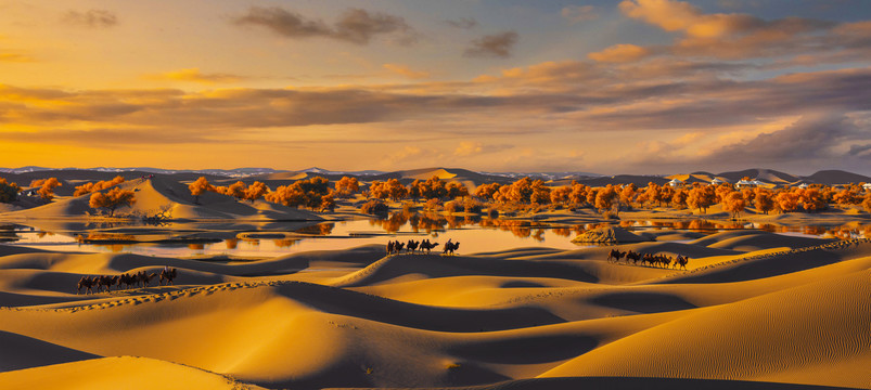 夕阳下的沙漠驼队