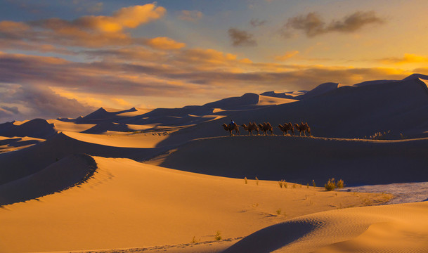 夕阳下的沙漠驼队