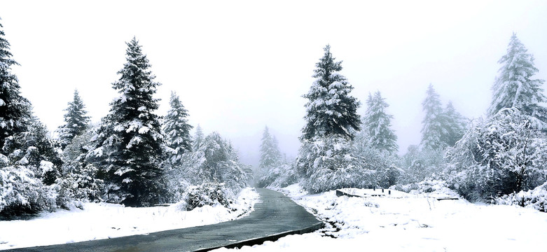 米亚罗山上雪景