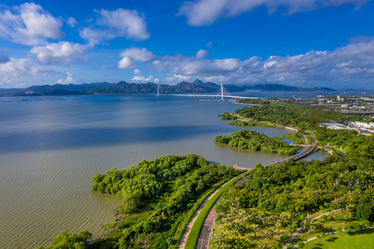 航拍深圳湾公园