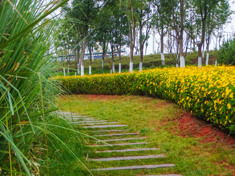 绿植小路